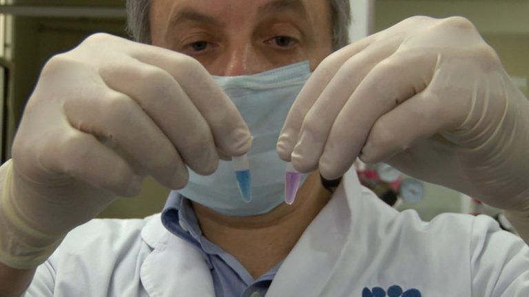 Test rápidos argentinos: producirán un millón por mes para detectar el virus