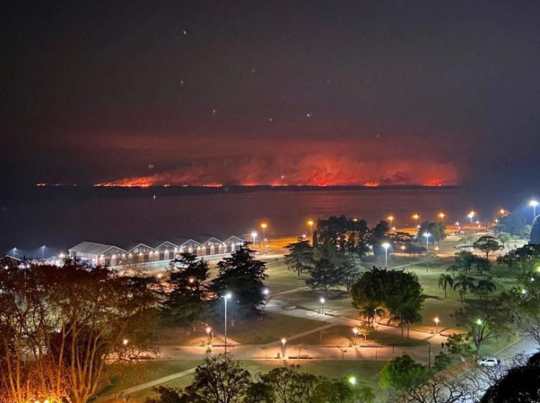 La corte ordena la creación de un comité de «emergencia ambiental»
