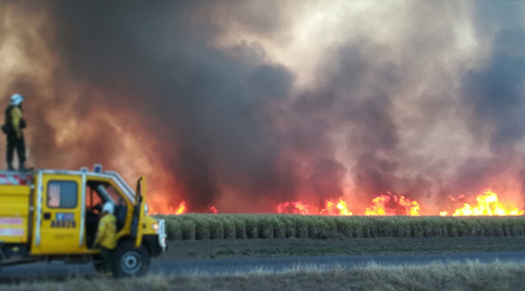 Incendios forestales en Tucumán: serán denunciados ante la justicia