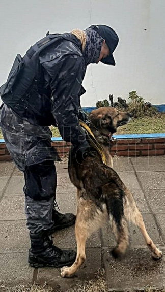 Un perro adiestrado detectó la presencia de Facundo en un patrullero
