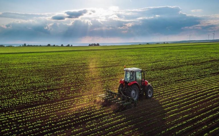 El campo inicia un paro sin el apoyo de todas las entidades rurales