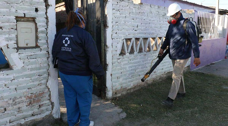 El dengue nos da un respiro en tiempos de pandemia