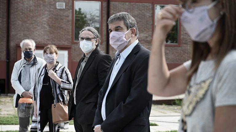 Anticuerpos derivados de llamas y huevos: investigadores argentinos neutralizaron el coronavirus