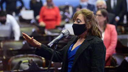 Asumió Alcira Figueroa, reemplazo de Juan Ameri en Diputados