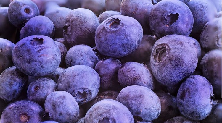 ¿Qué productos se pueden elaborar con arándanos?: Concurso con premio en efectivo