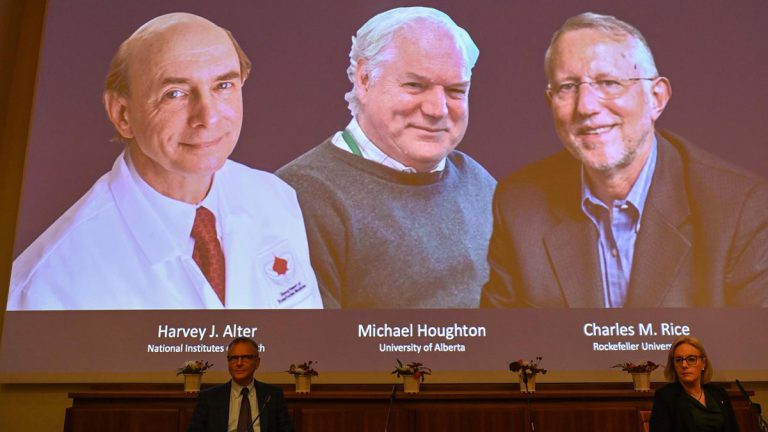 Premio Nobel de Medicina para los descubridores de la Hepatitis C