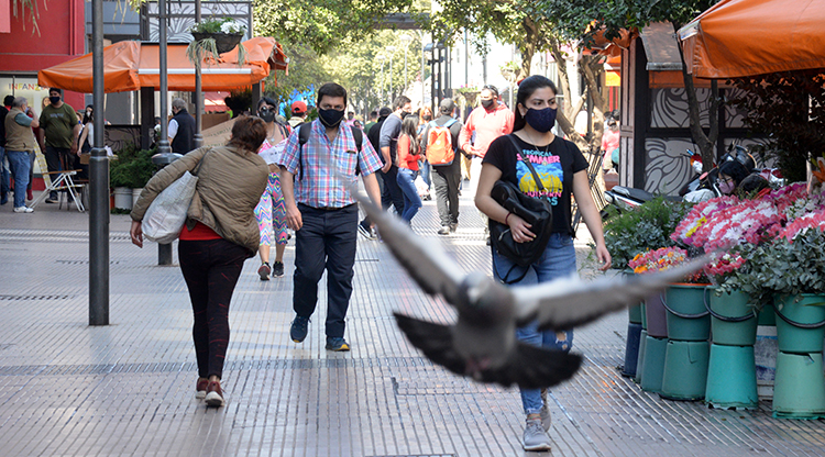 La pandemia en Tucumán: más del 60% del total de casos se recuperaron