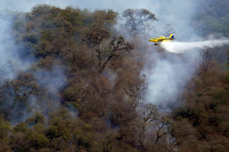 Otra vez hay focos de incendios en Yánima y en San Javier