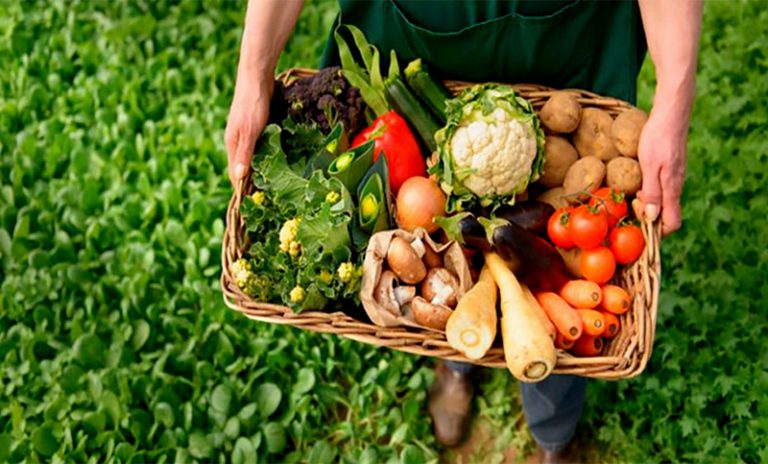 Alimentar saberes: nuevo programa nacional de educación nutricional para sectores vulnerables