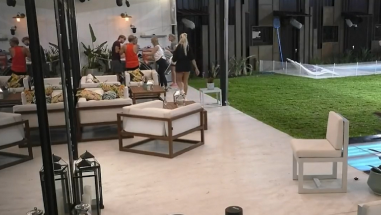 Video: en Gran Hermano descuidaron a los perritos y uno cayó a la piscina ¿Qué pasará con los cachorros?
