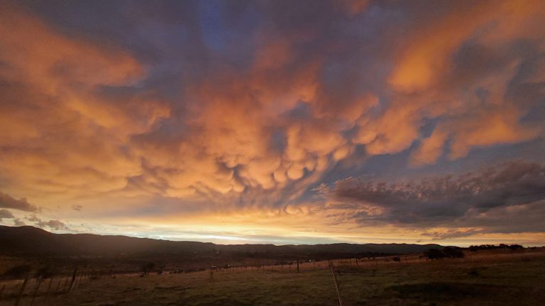 Entre la tierra y el cielo