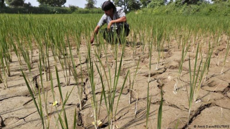 Cambio climático cada vez con más fuerza
