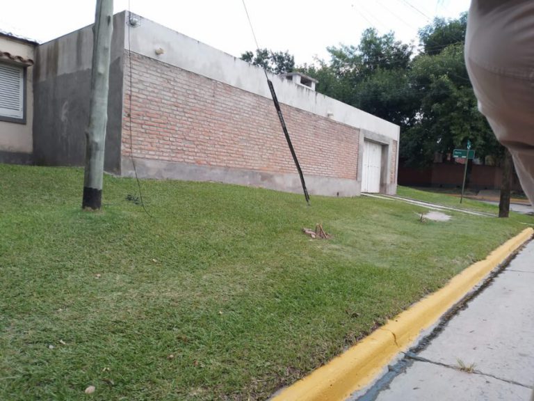 En Yerba Buena roban hasta los árboles: vandalismo en la avenida Perón