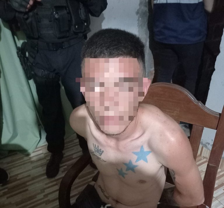 Capturan a un prófugo acusado de un crimen en el parque 9 de Julio