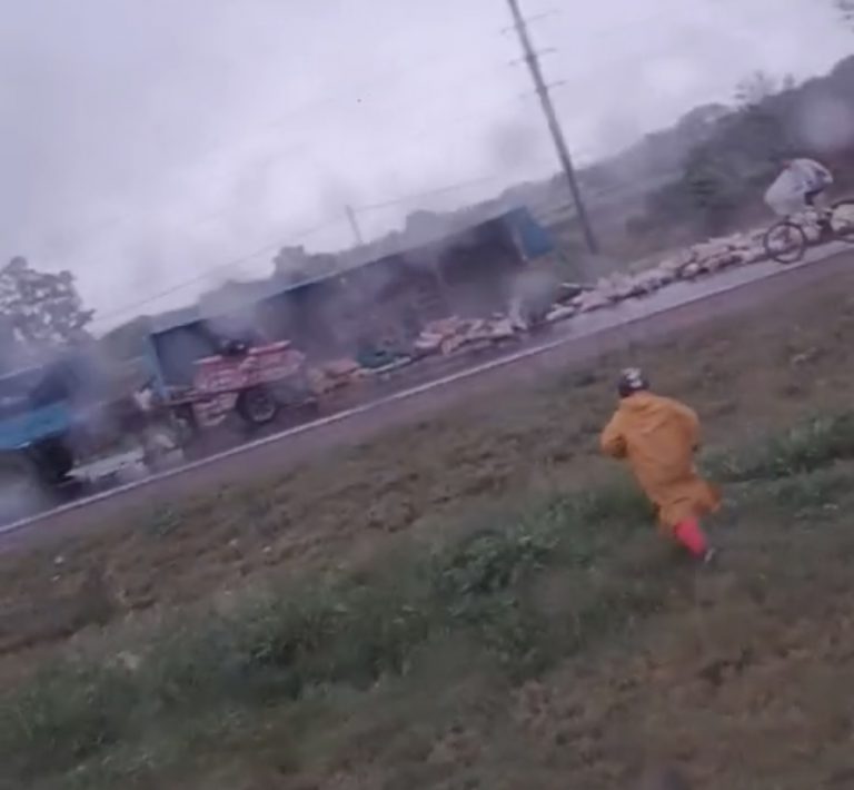 VIDEO: un camión chocó en la autopista con Famaillá y le robaron los chanchos