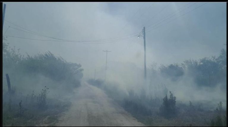 Un incendio provocado en Los Vallistos, logró ser controlado, mientras se investigan los responsables