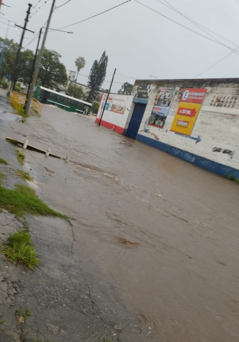 Después de la sequía, Tucumán recibe un alivio húmedo con lluvias intensas