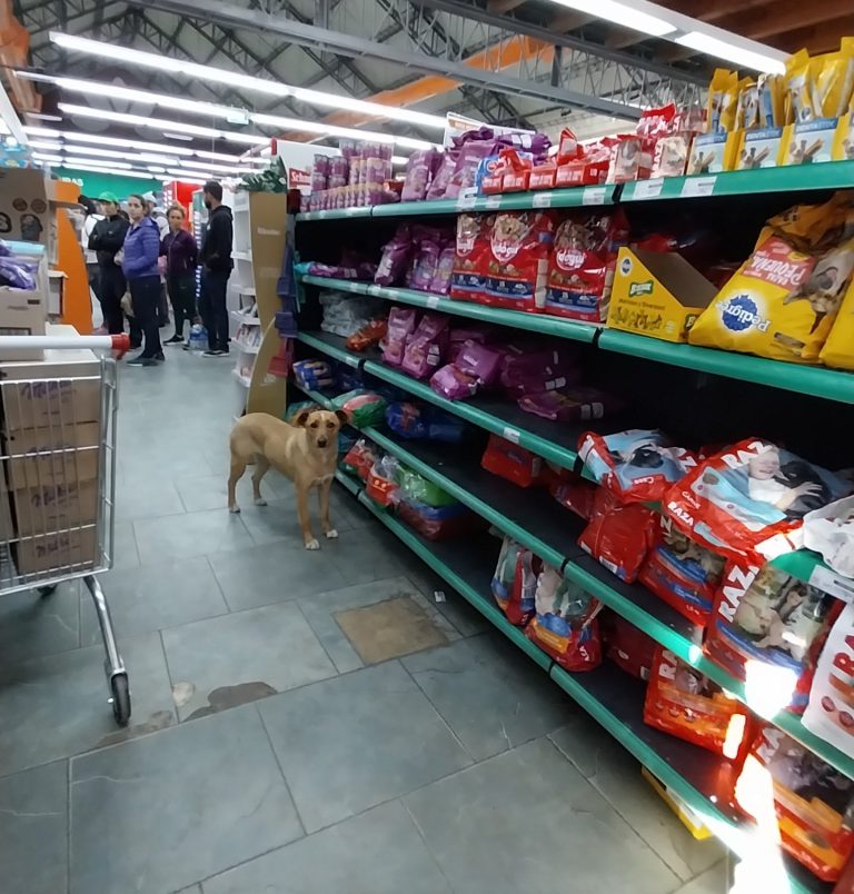 Supermercadistas reclaman suba de precios hasta de un 7% a raíz de la especulación de los proveedores con la suba del dólar