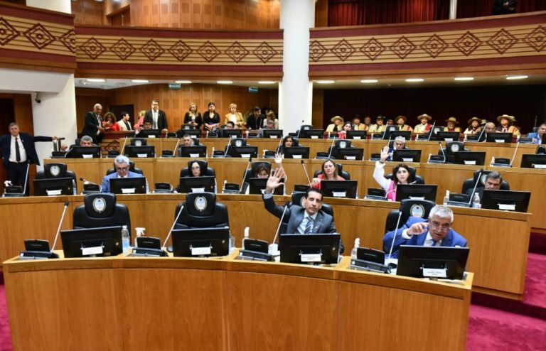 La Legislatura de Tucumán aprobó por unanimidad una ley integral para prevenir y combatir el acoso escolar