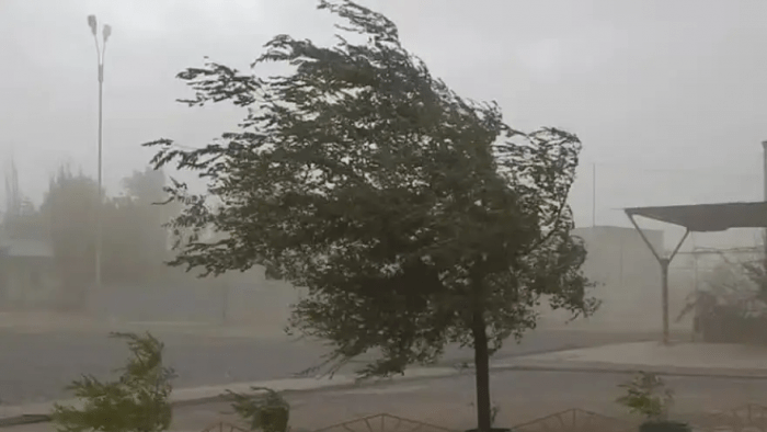 Alerta amarilla por vientos en Tucumán: el pronóstico del tiempo para hoy