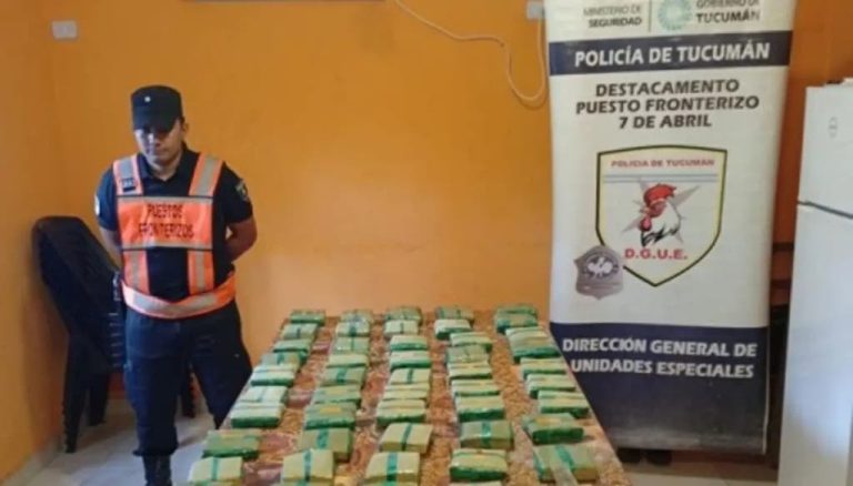 Camión con carga de marihuana y hojas de coca fue interceptado al intentar ingresar a Tucumán