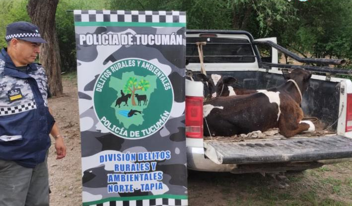 Alarma en el campo tucumano: crecen los delitos en el interior provincial