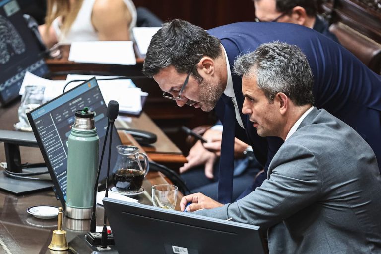 Presupuesto obtiene media sanción, pero fracasan las derogaciones de la ley de discapacidad y el financiamiento universitario