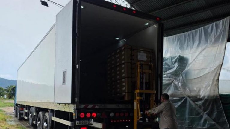 Tucumán exportará por primera vez ají y pepino a la Unión Europea