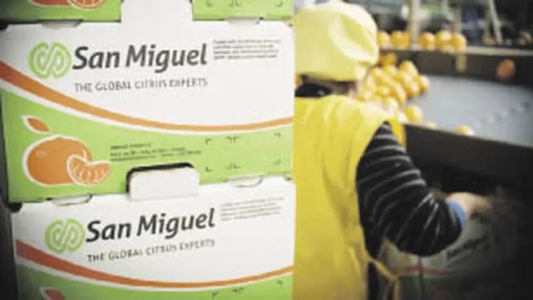 Canje de deuda de Citrícola San Miguel: ¿Qué revela sobre su salud financiera?