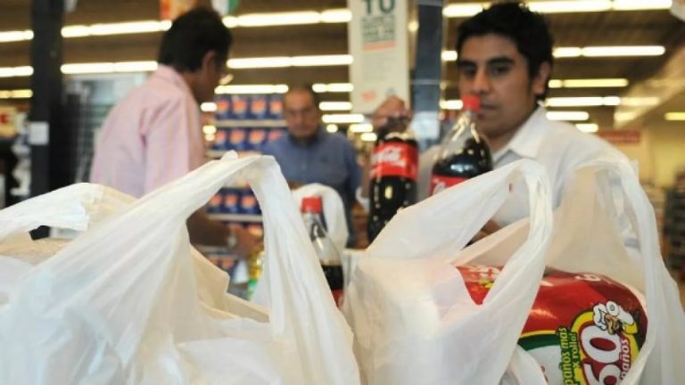 Prohibición de bolsas plásticas: impacto laboral y debate sobre la efectividad de la medida
