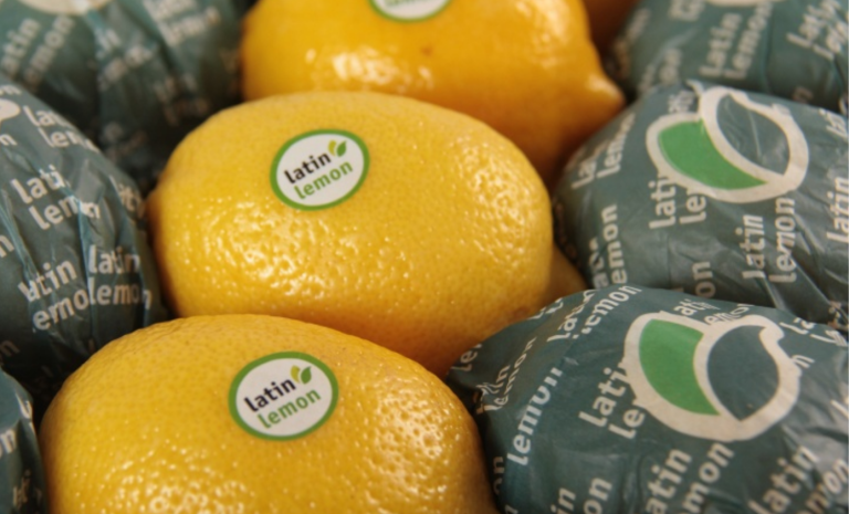 Megaoperación en Tucumán: El polémico grupo Ruiz adquirió el 100 por ciento de Latin Lemon