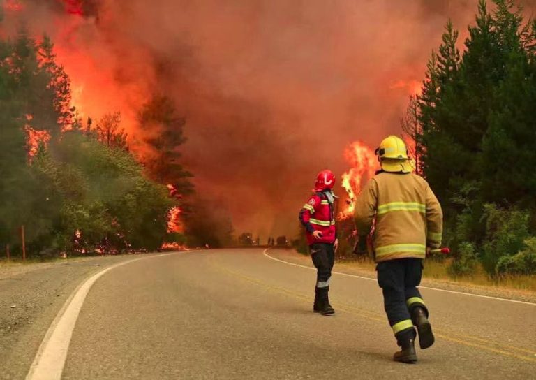 Incendios en Chubut: autoridades declaran la peor tragedia ambiental en dos décadas