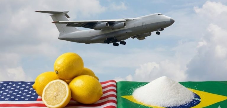 Tucumán lidera las exportaciones argentinas: U$S 900 millones y el poder de la citricultura