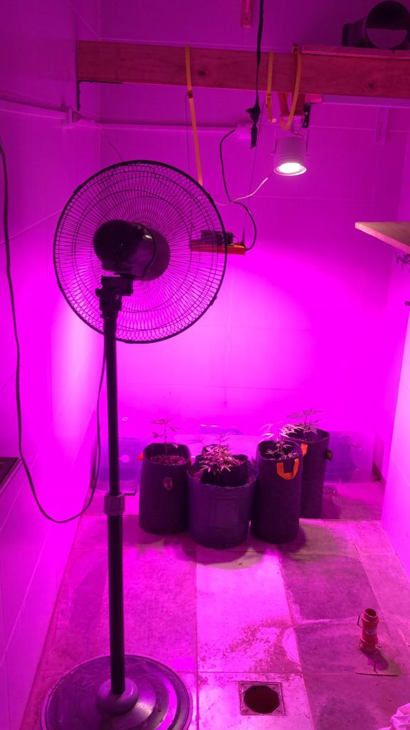 Costosas lámparas led para sustituir al Sol.