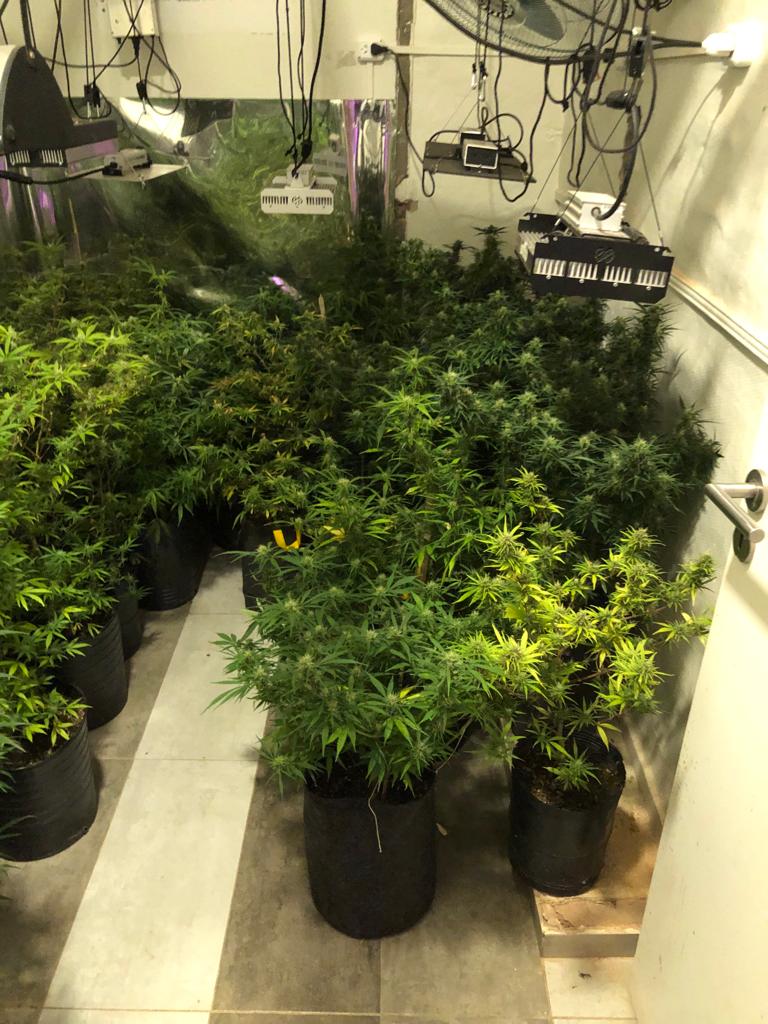 El descomunal invernadero de El Militar.