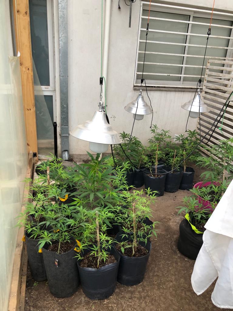 Los patios internos también se usaban para el cultivo.