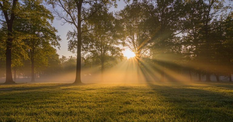 Clima hoy en San Miguel de  Tucumán: el pronóstico del tiempo para el miércoles 18 de febrero