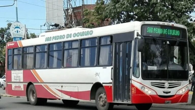 Colectivos desafían a la UTA: anuncian servicios normales pese al paro