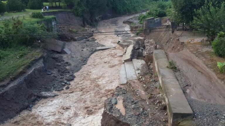 Anegamientos, tapas de alcantarillas desplazadas y árboles caídos: el saldo de la fuerte tormenta en Yerba Buena
