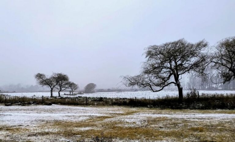 El frío extremo anticipa el invierno en Tafí del Valle y cubre de blanco los cerros