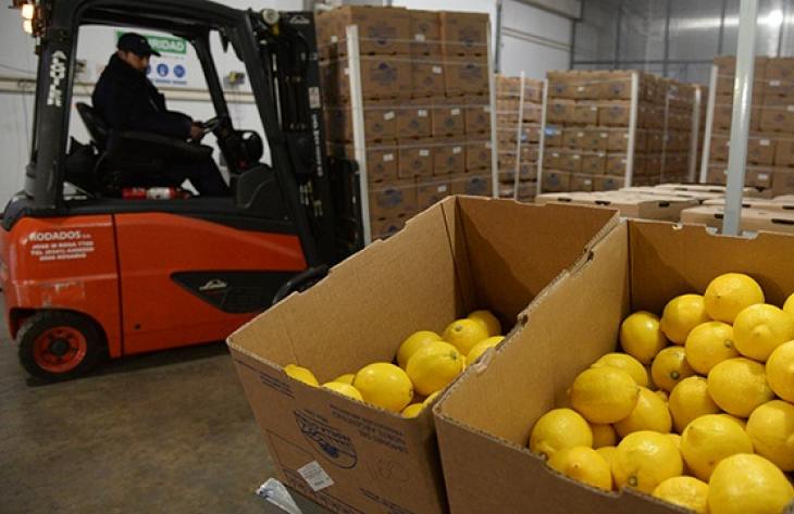 Tucumán incrementó sus exportaciones un 17% en la última década