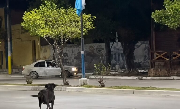 Vecino de Simoca denuncia maniobras peligrosas de automovilista filmadas cerca del Festival del Sulky