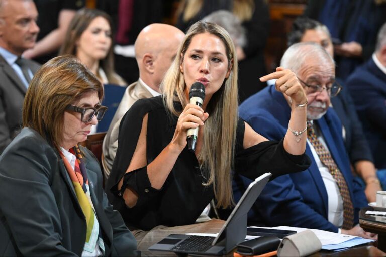 Chile acelera la sanción de denuncias falsas en causas familiares: un debate que encuentra eco en el proyecto argentino del Senado
