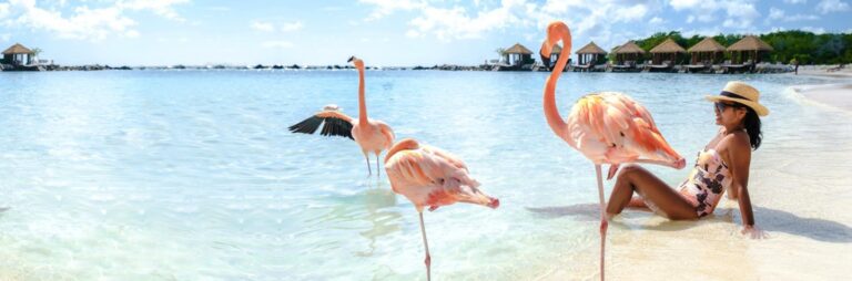 Aruba: la joya del Caribe que redefine el concepto de exclusividad para el viajero tucumano