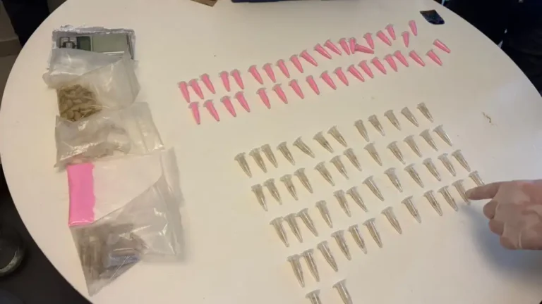 Golpe al narcotráfico: La Digedrop secuestró éxtasis, LSD, ketamina y tusi en un procedimiento en Barrio Sur