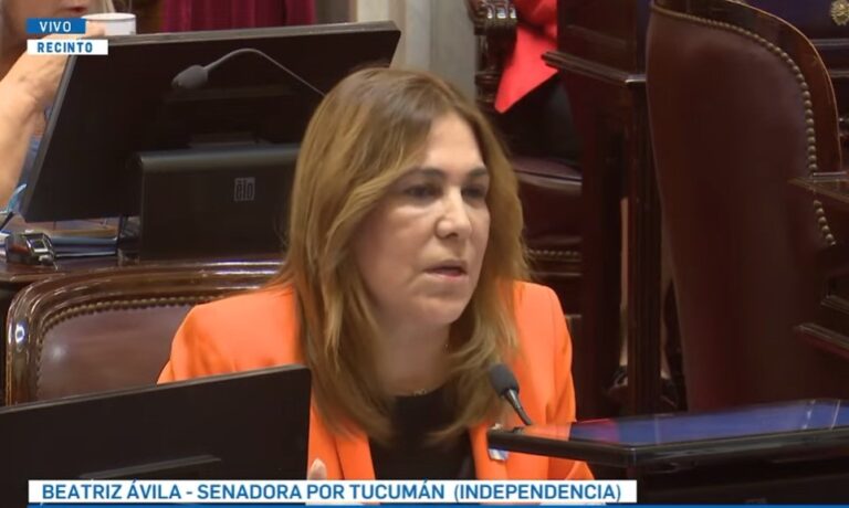 Dictamen favorable para el proyecto que busca fortalecer la Justicia Federal en Tucumán