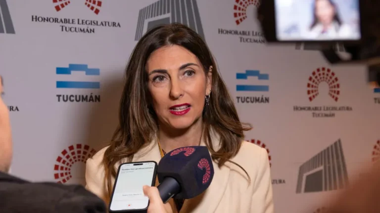 Dictamen favorable en Tucumán para adecuar la Ley Electoral a la normativa de Ficha Limpia y promover el uso de lenguaje claro en documentos oficiales