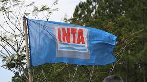 Se habilitó un plan de retiro voluntario para los trabajadores del INTA: exclusiones y topes