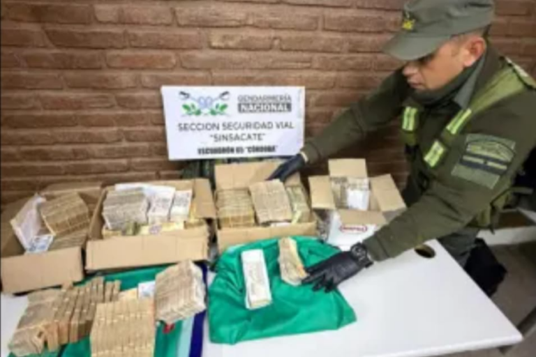 Gendarmería secuestró más de $56 millones ocultos en un camión procedente de Santiago del Estero