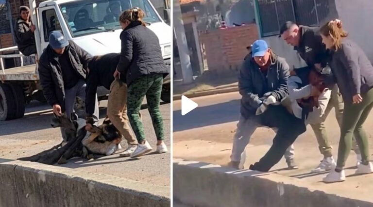 Video: Un presunto ladrón fue agredido, arrojado a un arroyo y baleado en el conurbano bonaerense